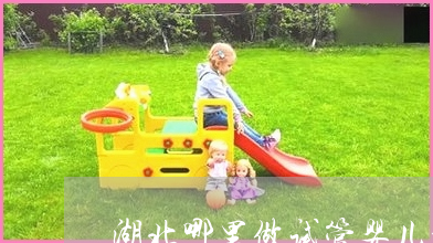 我看到关于注射艾哲后的记录非常少，供卵试管婴儿,其他