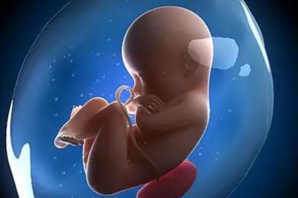 同性恋真的能生孩子吗？同性恋是如何要孩子的？