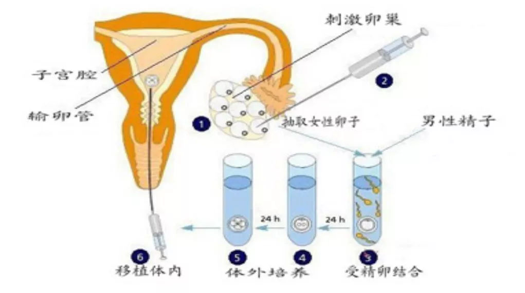 该如何提高代怀服务中胚胎移植的成功率？