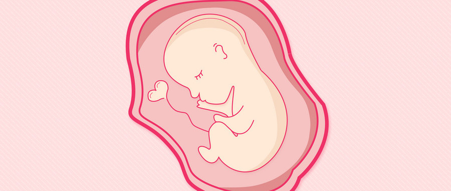供卵老婆生下孩子离婚（供卵二代试管）