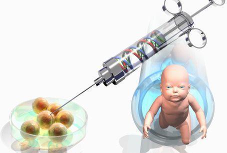 2024年最晚几月份怀孕才可以生牛宝宝